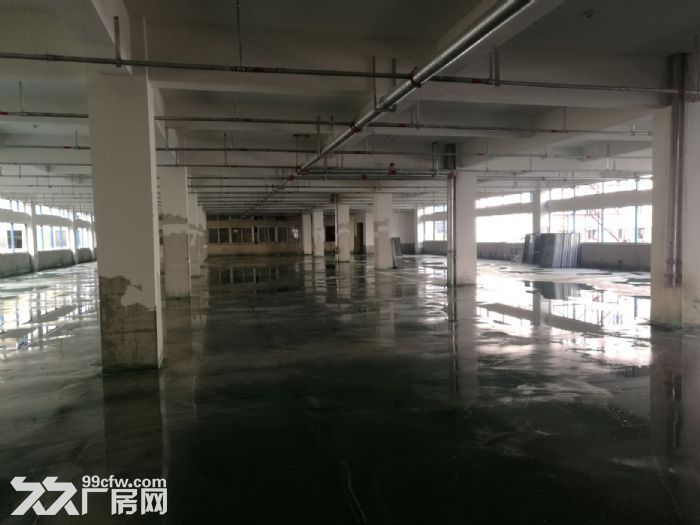 瓯海经济开发区1楼1100平方出租-图2