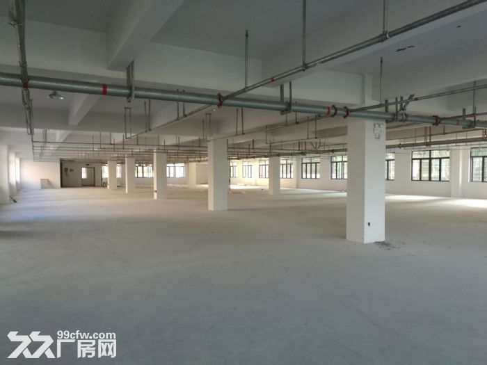 上汇工业区4楼2000平方出租