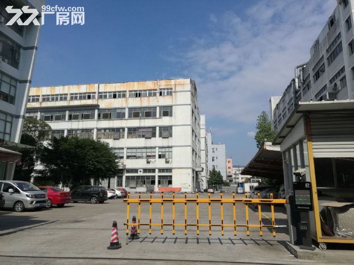 上汇工业区独门独院12000平方出租