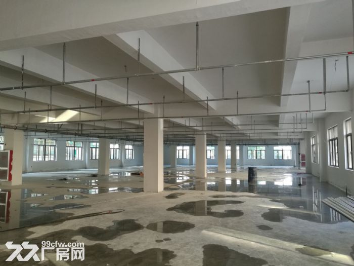 鹿城沿江工业区1楼1500平方米厂房出租