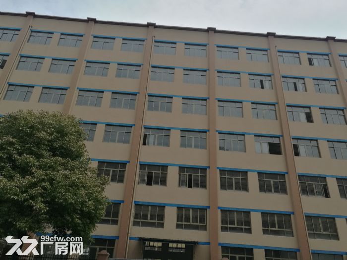 藤桥镇工业区标准厂房一楼900平方米出租