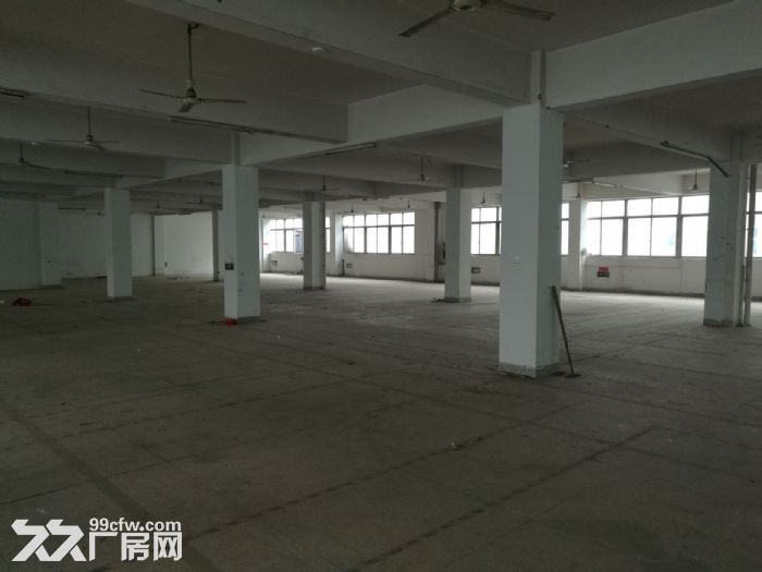 藤桥镇工业区标准厂房一楼900平方米出租-图3