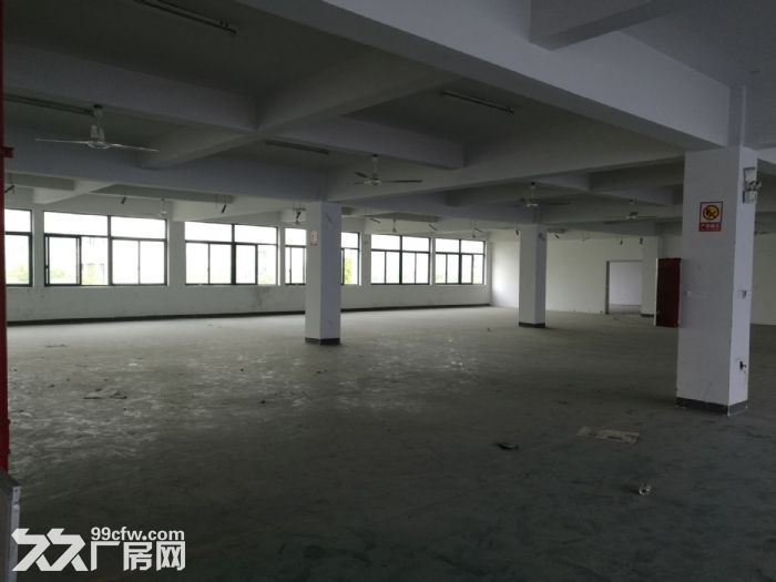 藤桥镇工业区标准厂房一楼900平方米出租-图4