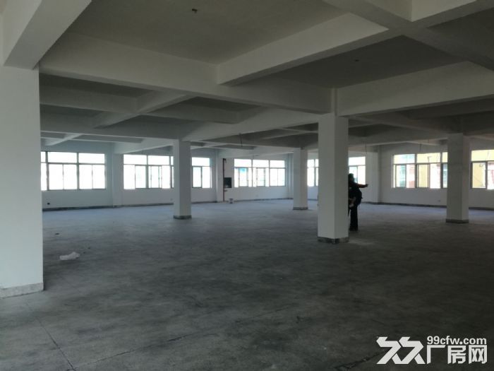 藤桥服饰园工业区独门独院2100平方标准厂房出租-图2