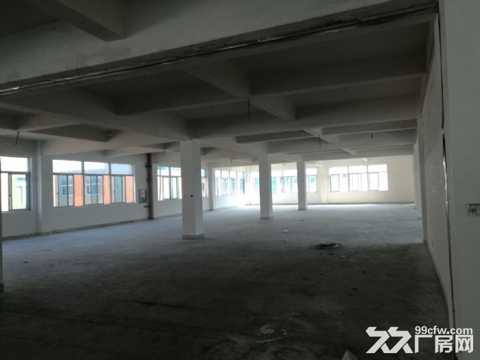 藤桥服饰园工业区独门独院2100平方标准厂房出租-图3