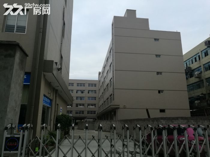 藤桥工业区3楼1700平方出租