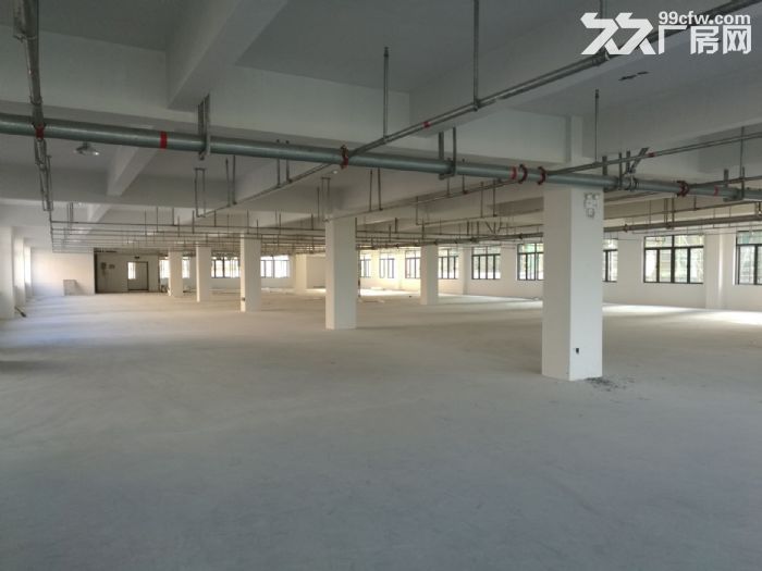 藤桥工业区3楼1700平方出租-图3