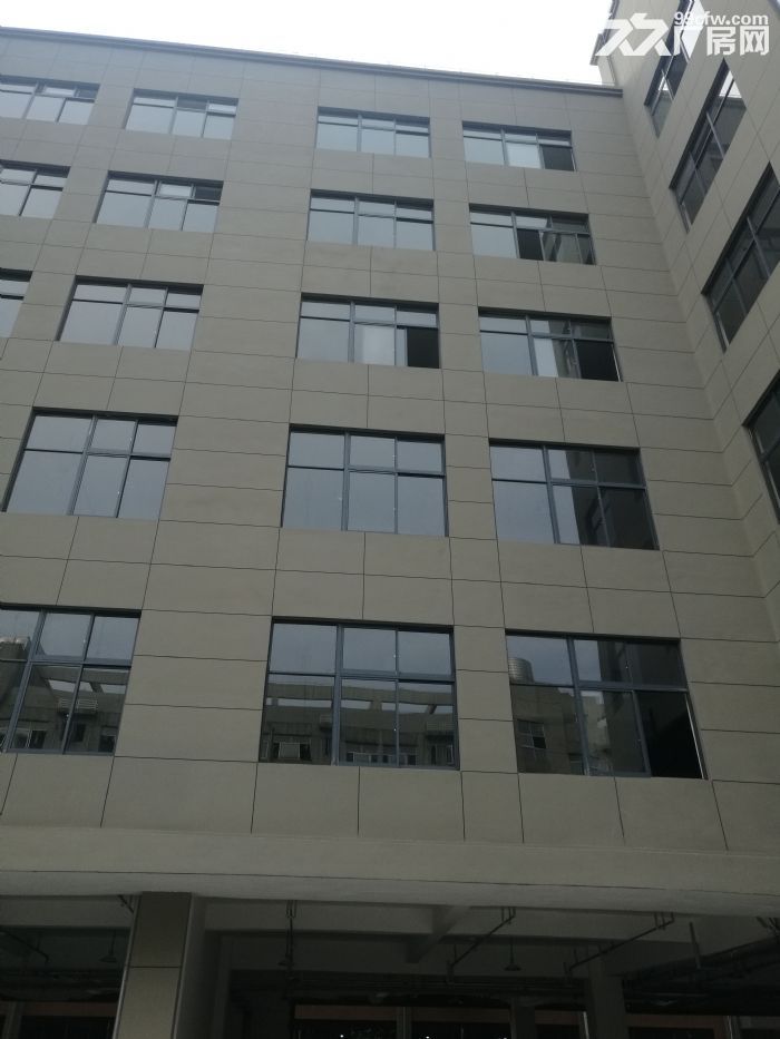 泽雅工业区5楼1800平方米出租-图3