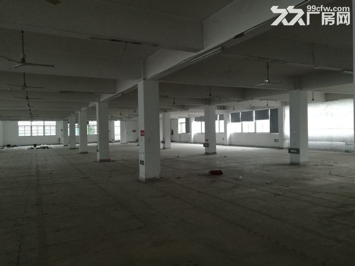 泽雅工业区标准厂房3楼1000平方出租-图2