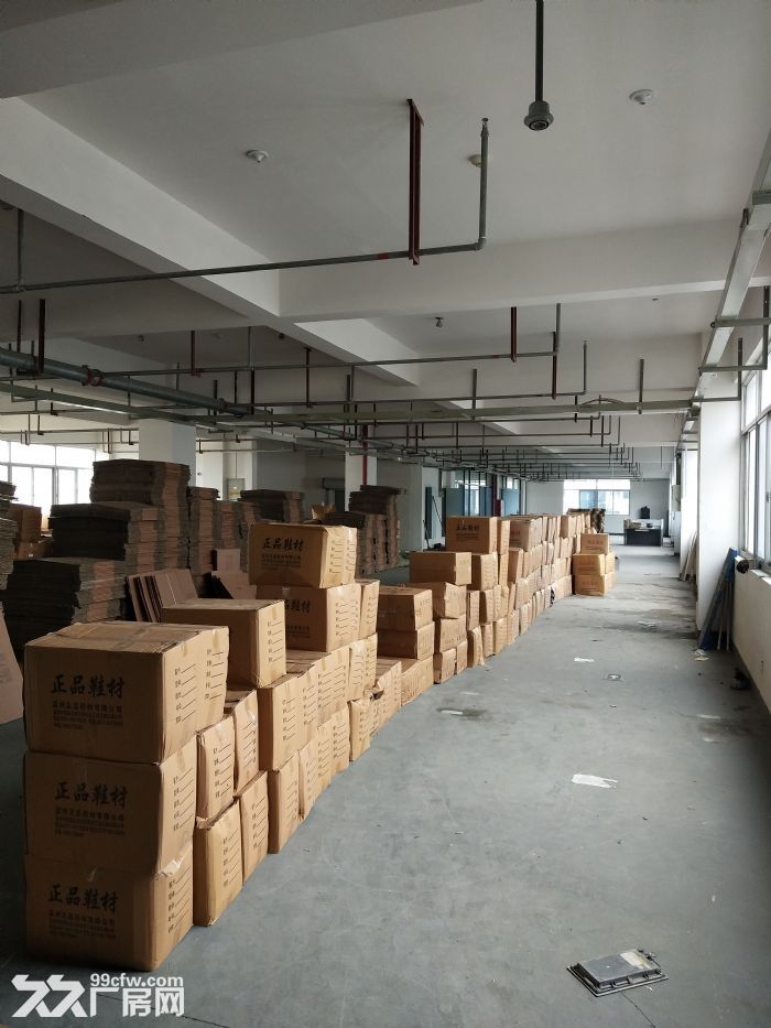 泽雅工业区1楼1000平方2楼2000平方米出租