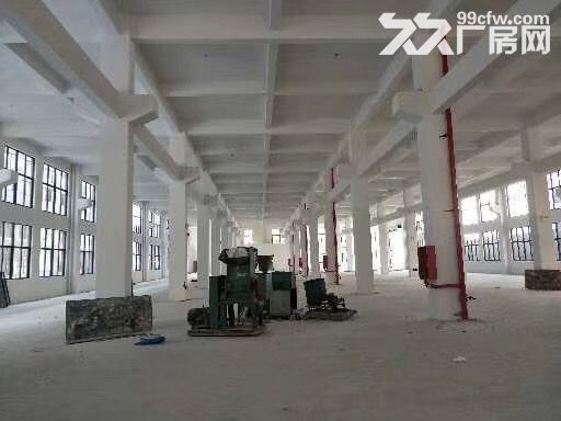 泽雅工业区1楼1000平方2楼2000平方米出租-图2