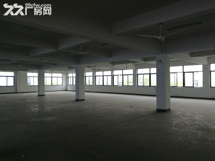 鹿城轻工园区3楼1300平方出租-图2