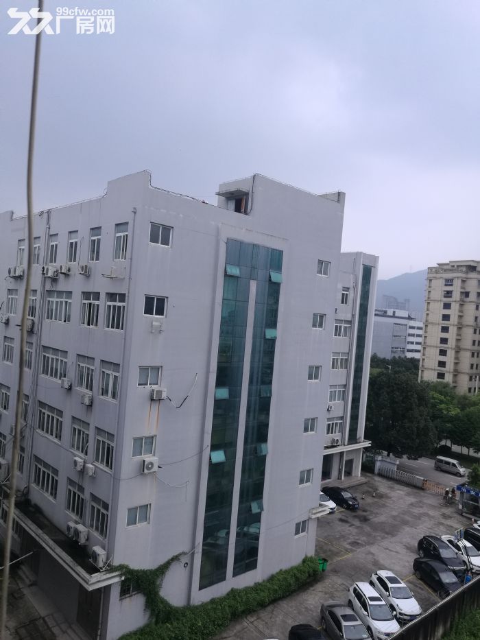 藤桥工业区5楼1000平方米出租-图2