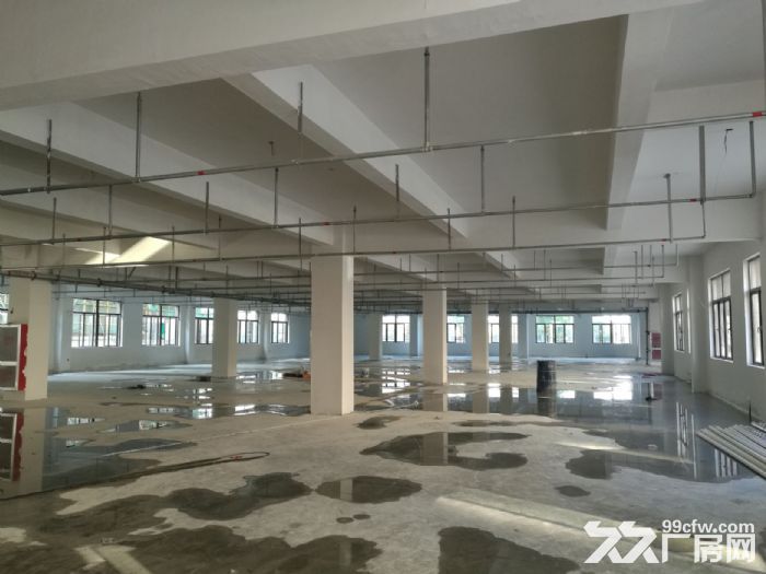 泽雅工业区厂房1楼900平方米-图2