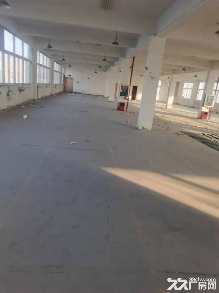 滨海明珠路标准厂房招租