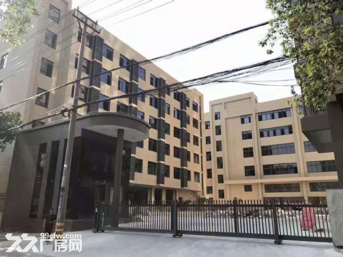 滨海全新独栋厂房招租