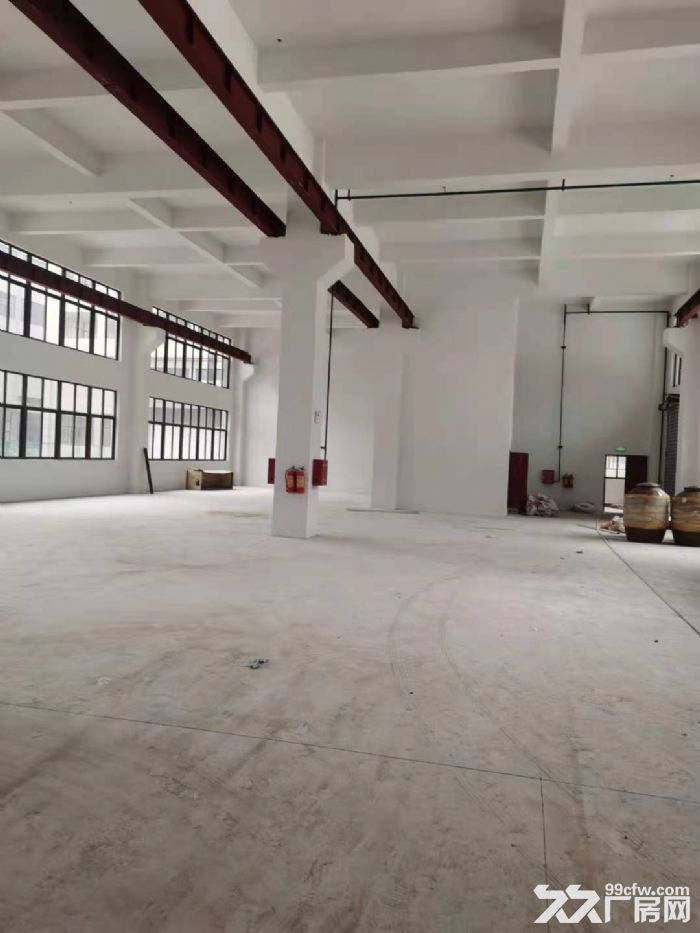 滨海明珠路金海工业园全新厂房招租-图2