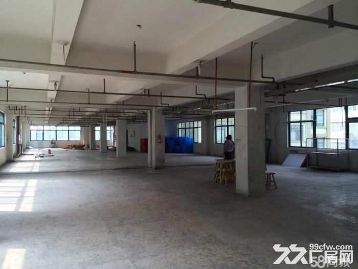 仙岩工业区独门独院厂房出租9000-图3