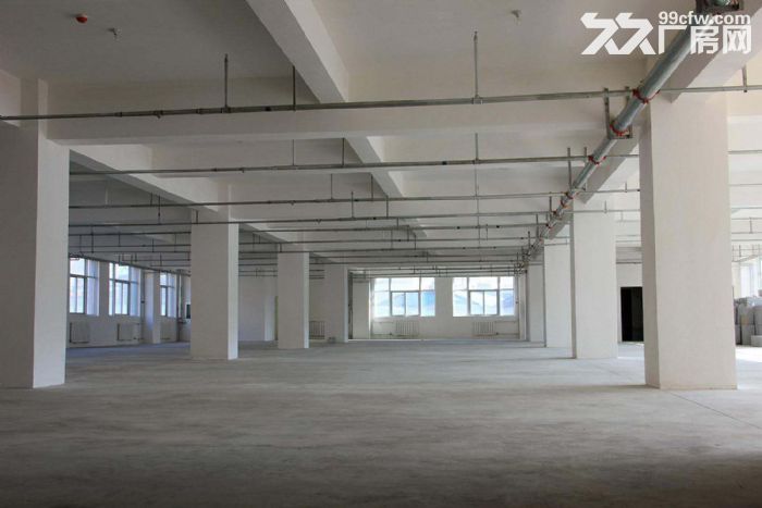 瓯海仙岩工业区独门独院出租12000平 大门大院 交通方便 地段好 风水好-图4