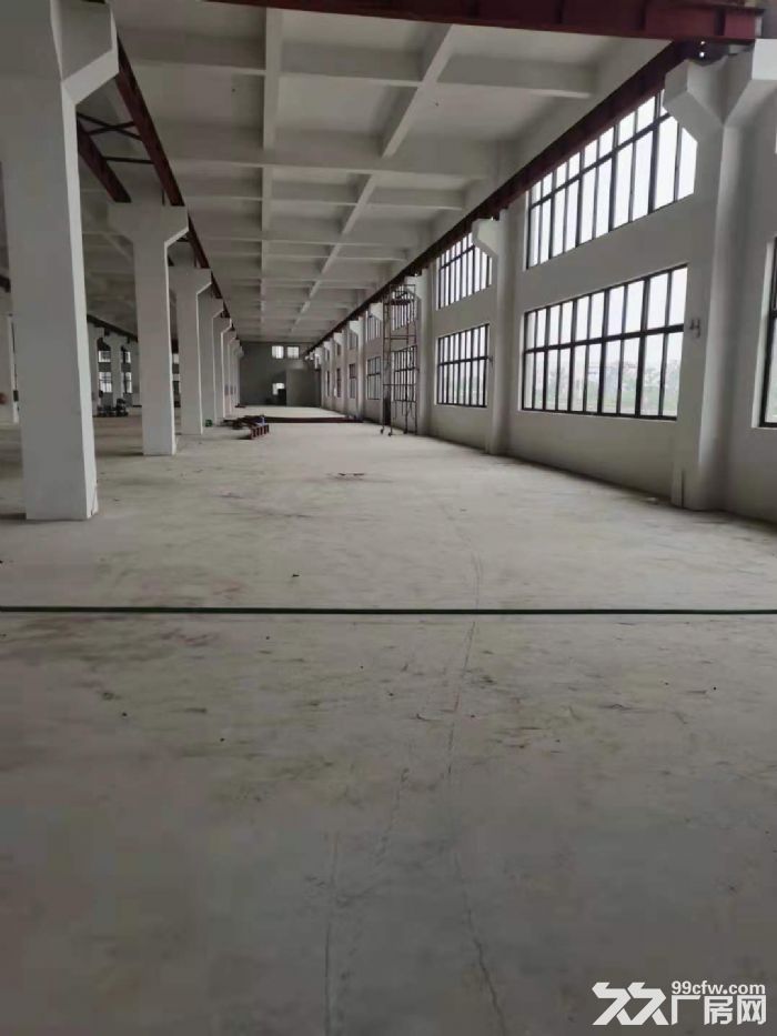 龙湾滨海全新工业厂房招租