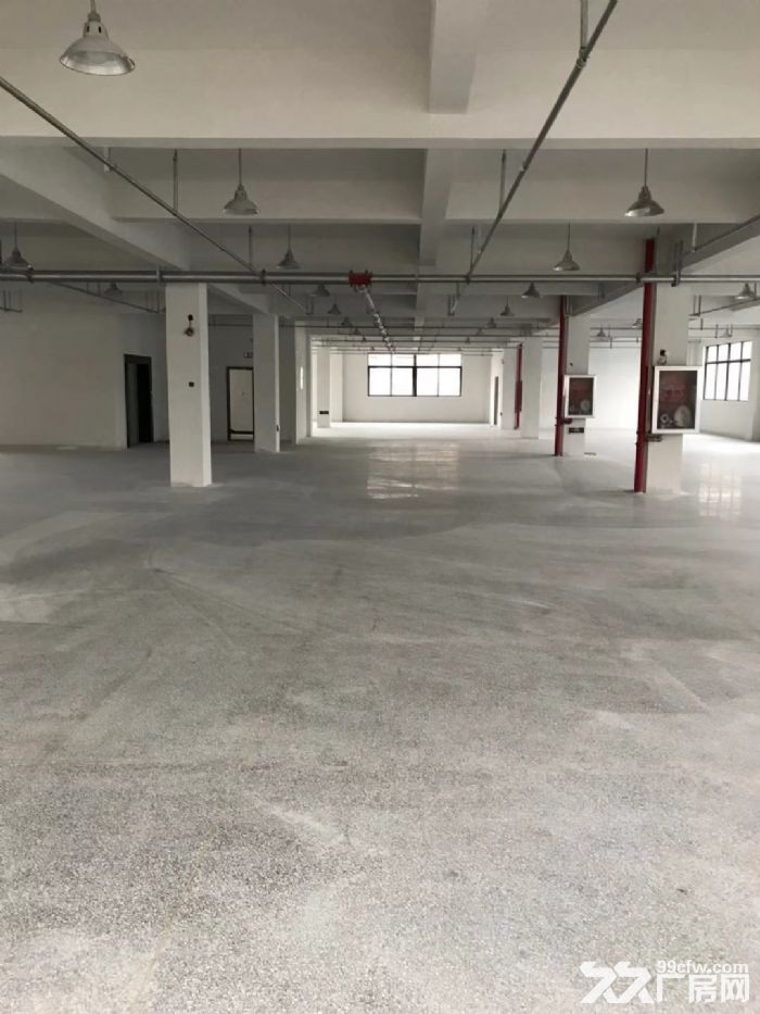 仙岩工业区厂房16000平米出租适合鞋服，五金，汽摩配等等各种行业。-图5