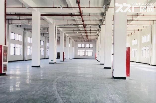 出租龙湾滨海厂房小微园