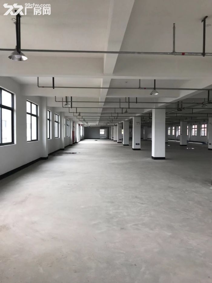 泽雅工业区厂房12000平米出租适合各种行业。