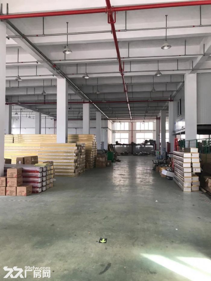 平阳郑楼工业区厂房4楼1800平米出租适合各种行业。-图4