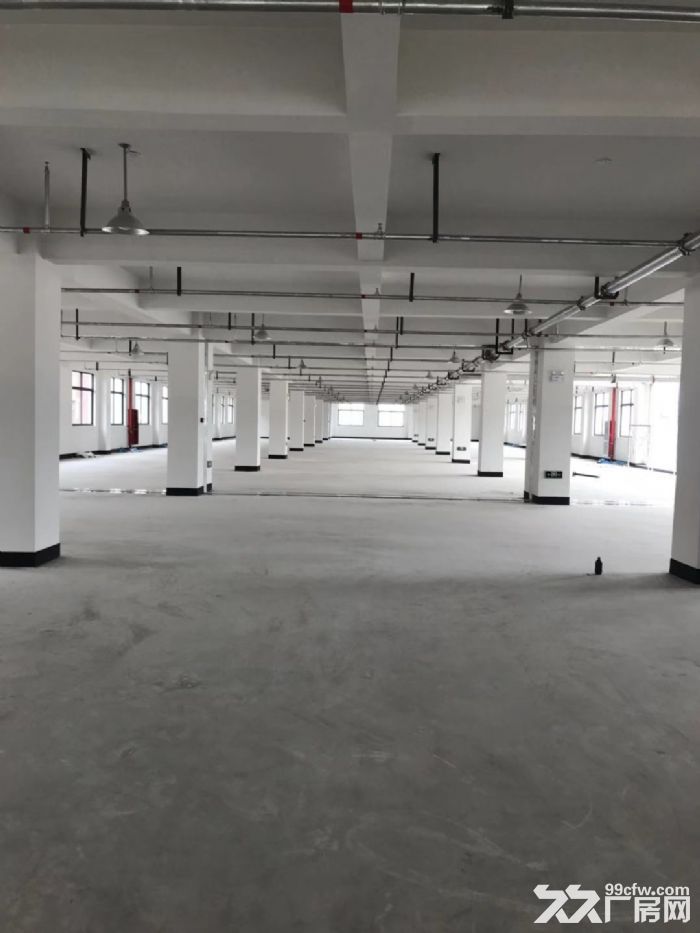 平阳郑楼工业区厂房4楼1800平米出租适合各种行业。