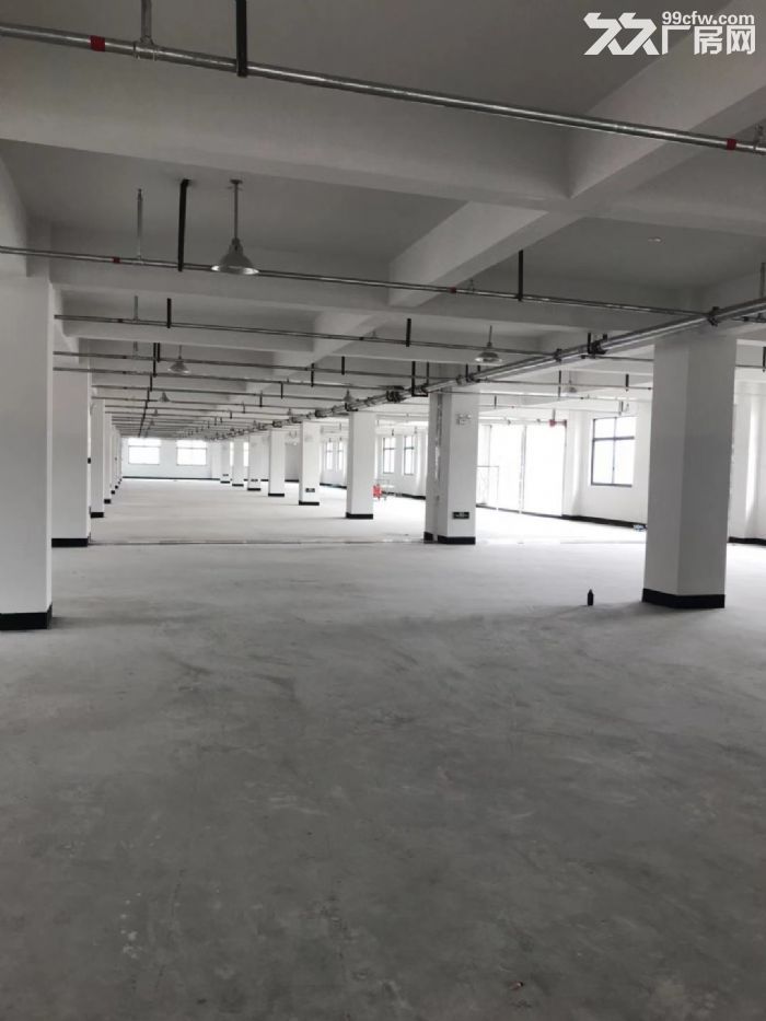 平阳郑楼工业区厂房4楼1800平米出租适合各种行业。-图2