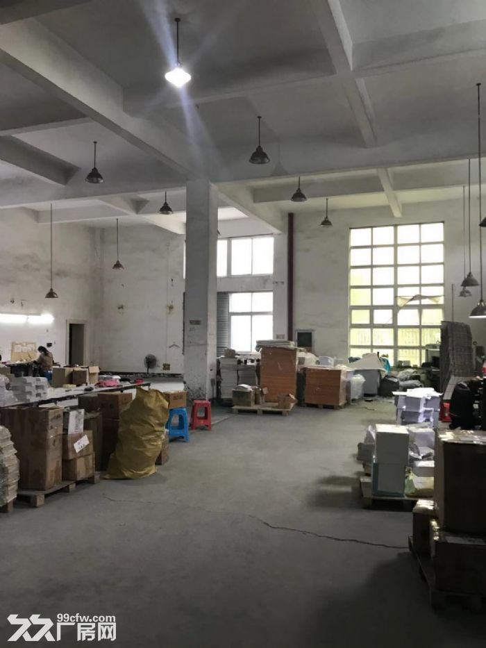 平阳郑楼工业区厂房4楼1800平米出租适合各种行业。-图3