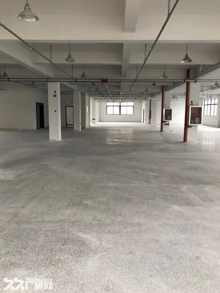 平阳郑楼工业区厂房4楼1800平米出租适合各种行业。-图6