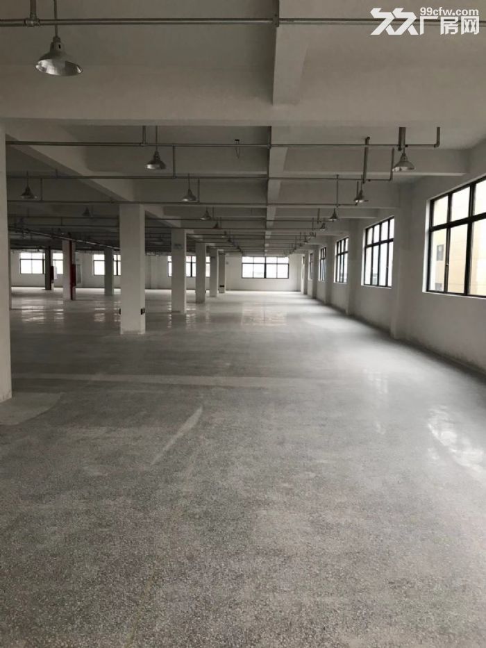 平阳郑楼工业区厂房4楼1800平米出租适合各种行业。-图5