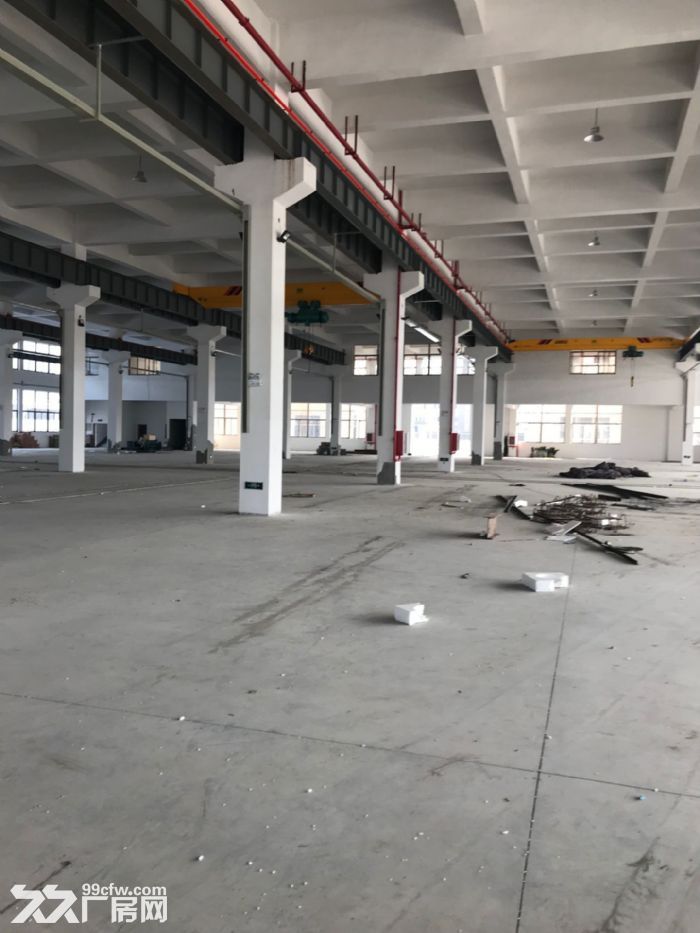 龙湾滨海园区一楼厂房600平米出租高度7米，适合各种行业。