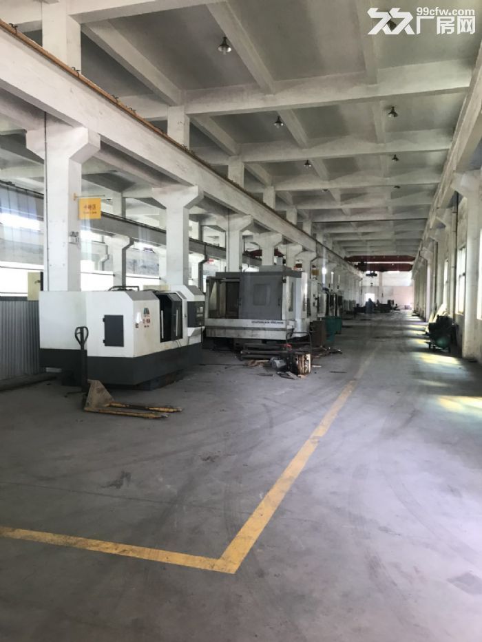 龙湾滨海园区一楼厂房600平米出租高度7米，适合各种行业。-图4