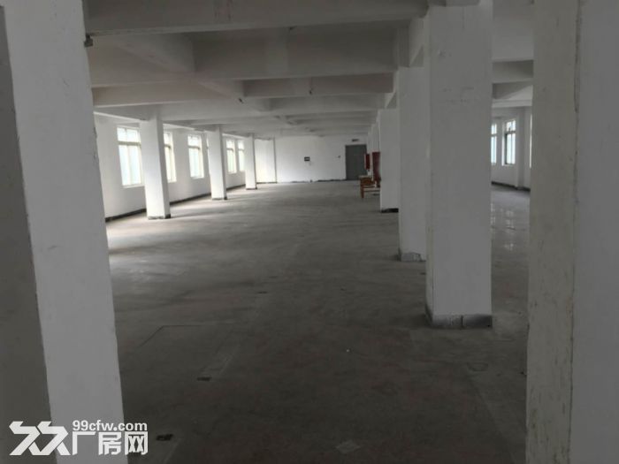 瓯海仙岩工业区厂房出租2000平-图8