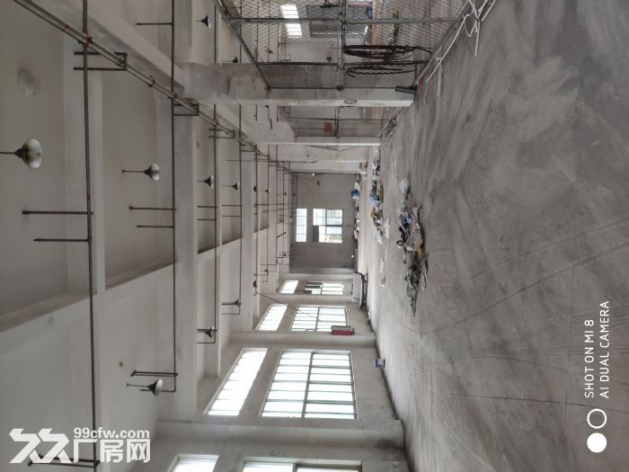 仙岩工业区厂房出租2层900平 大门大院交通方便-图4