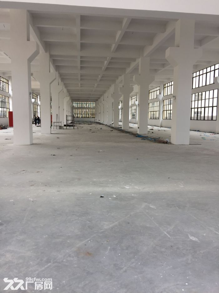 出租新桥高翔工业区，独栋厂房15000平方，可分租-图4