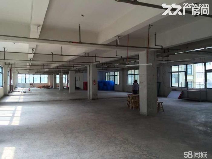 仙岩工业区厂房出租 一栋5000-图4