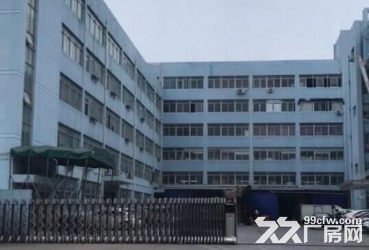 仙岩工业区标准厂房出租 一楼1000