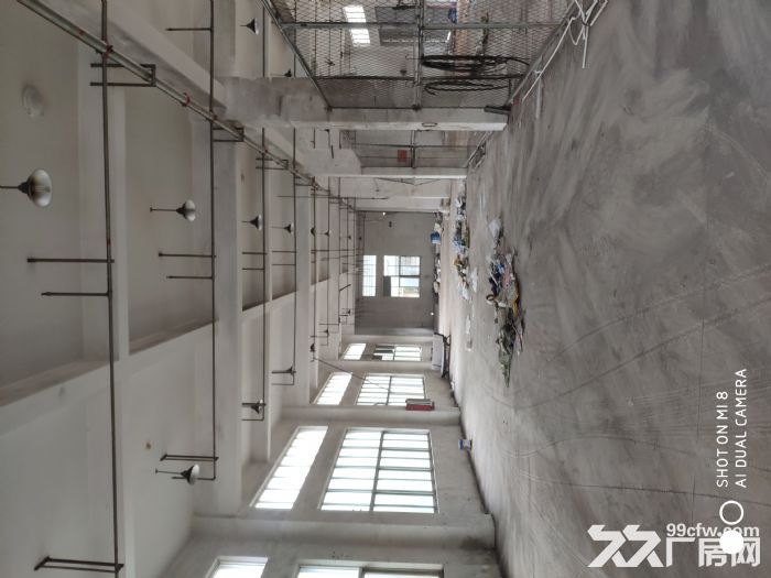瓯海仙岩工业区独门独院出租9000平-图3