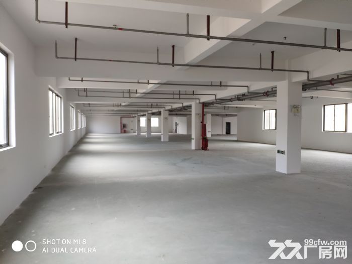 瓯海仙岩工业区独门独院出租9000平-图2