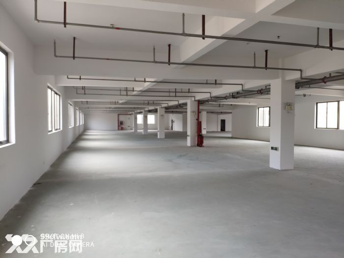 泽雅戈恬工业区厂房出租1800平可分租-图5