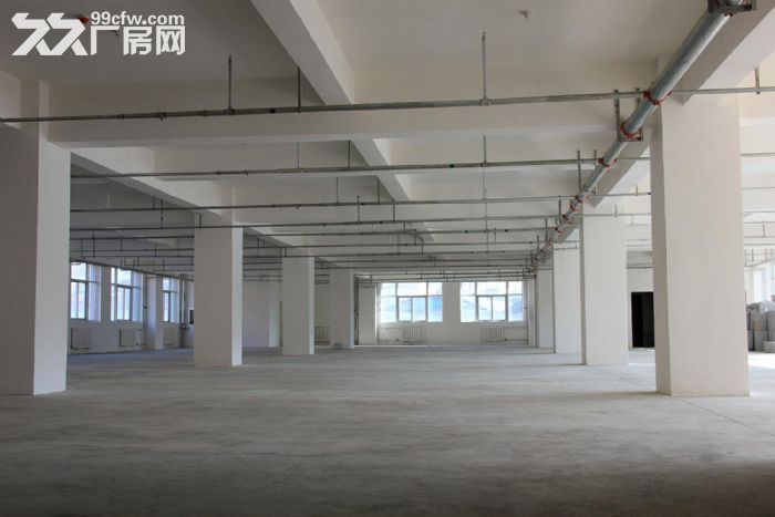 泽雅戈恬工业区厂房出租2500平 可分租