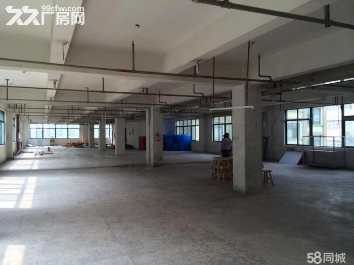 瓯海仙岩工业区厂房出租3000平-图4