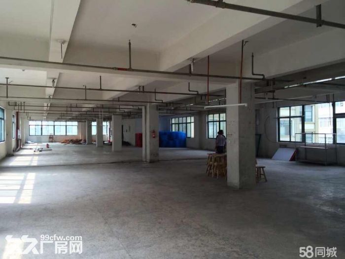 瓯海泽雅戈恬工业区厂房出租2500平-图3