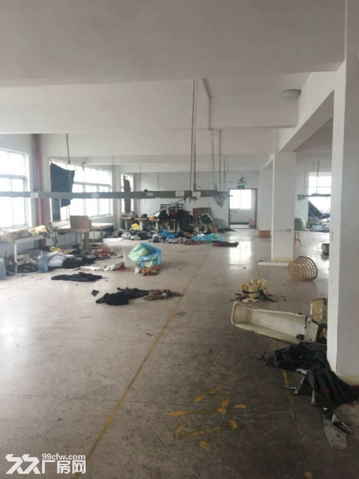 瓯海戈恬工业区厂房出租3000平 可分租