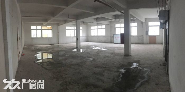 瓯海戈恬工业区厂房出租3000平 可分租-图2