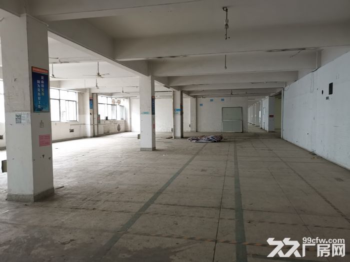 瓯海戈恬工业区厂房出租3000平 可分租-图4