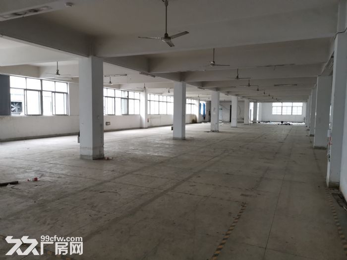 瓯海戈恬工业区厂房出租3000平 可分租-图5